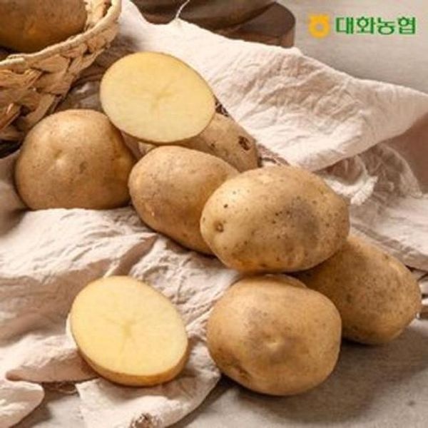 [하프클럽](특등급) 대화농협 강원감자 10kg (개당 80~100g)