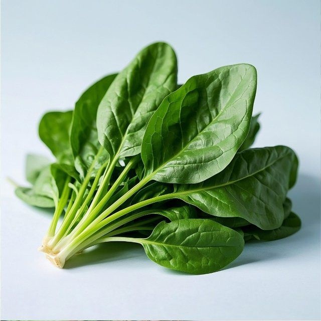 귤마을 국내산 시금치 4kg내외