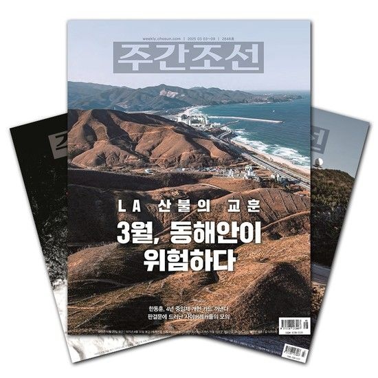 주간잡지 주간조선 1년 정기구독