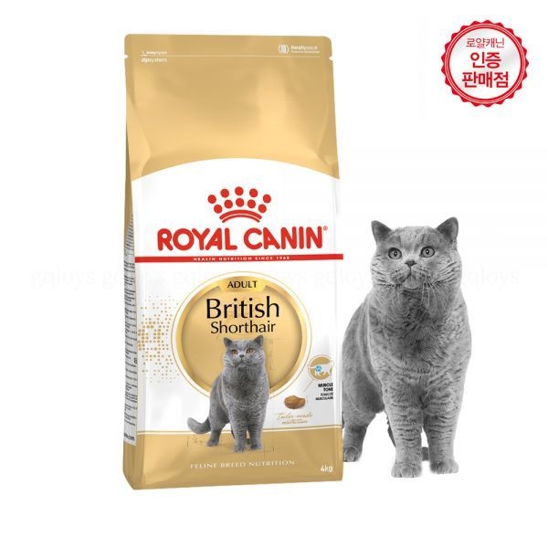 로얄캐닌 브리티쉬 숏헤어 어덜트 4kg