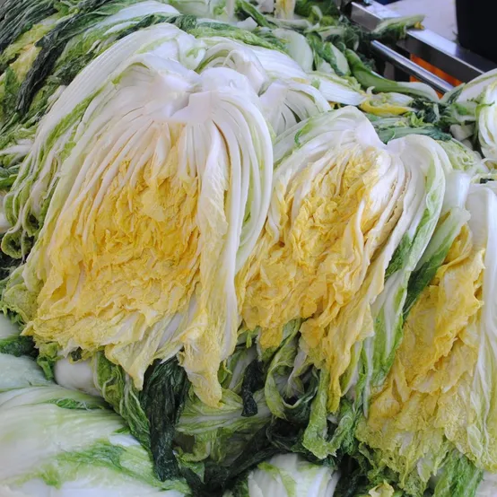 해남사랑절임배추 해남절임배추 20kg