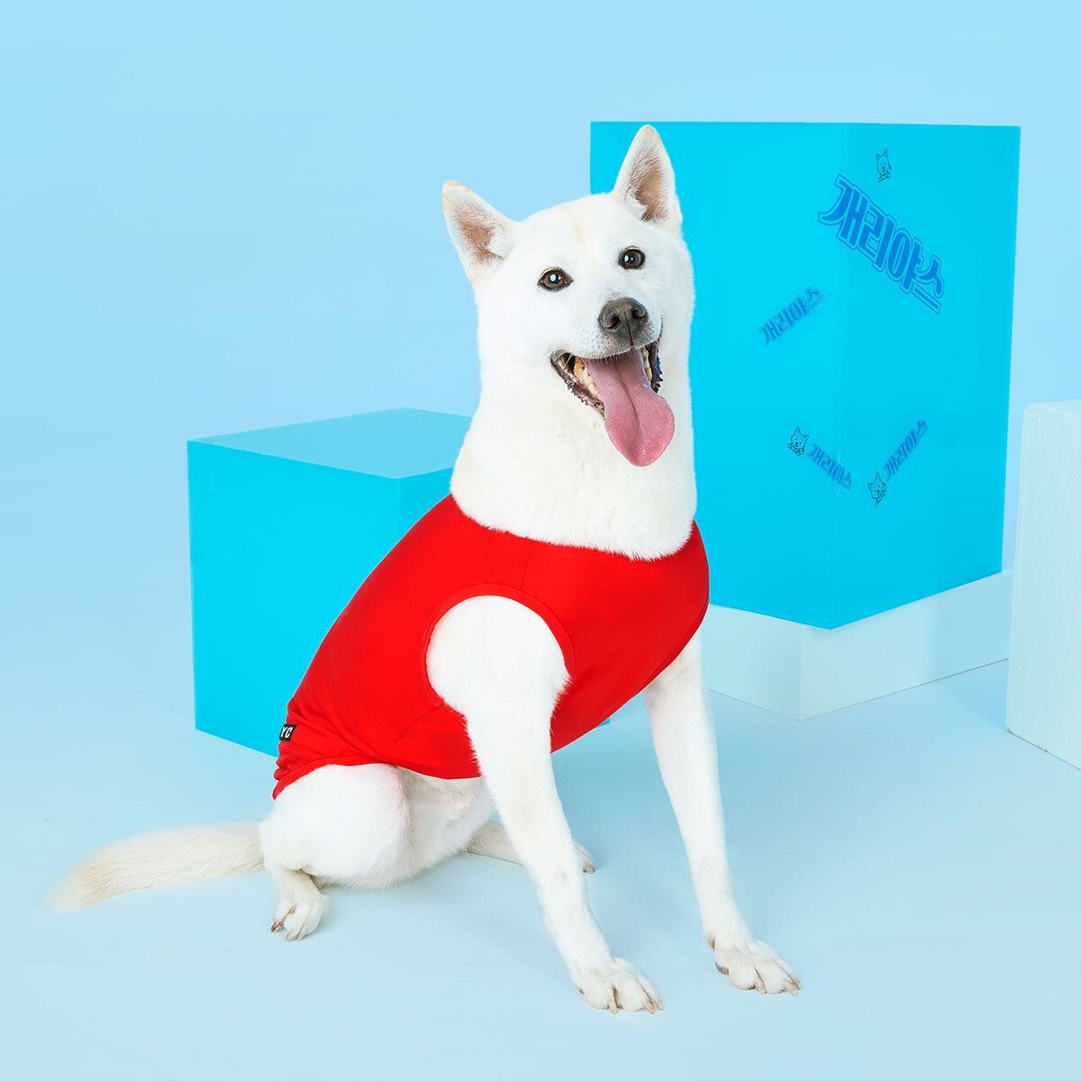 개리야스 보디드라이 쿨런닝 ODB0005 620353