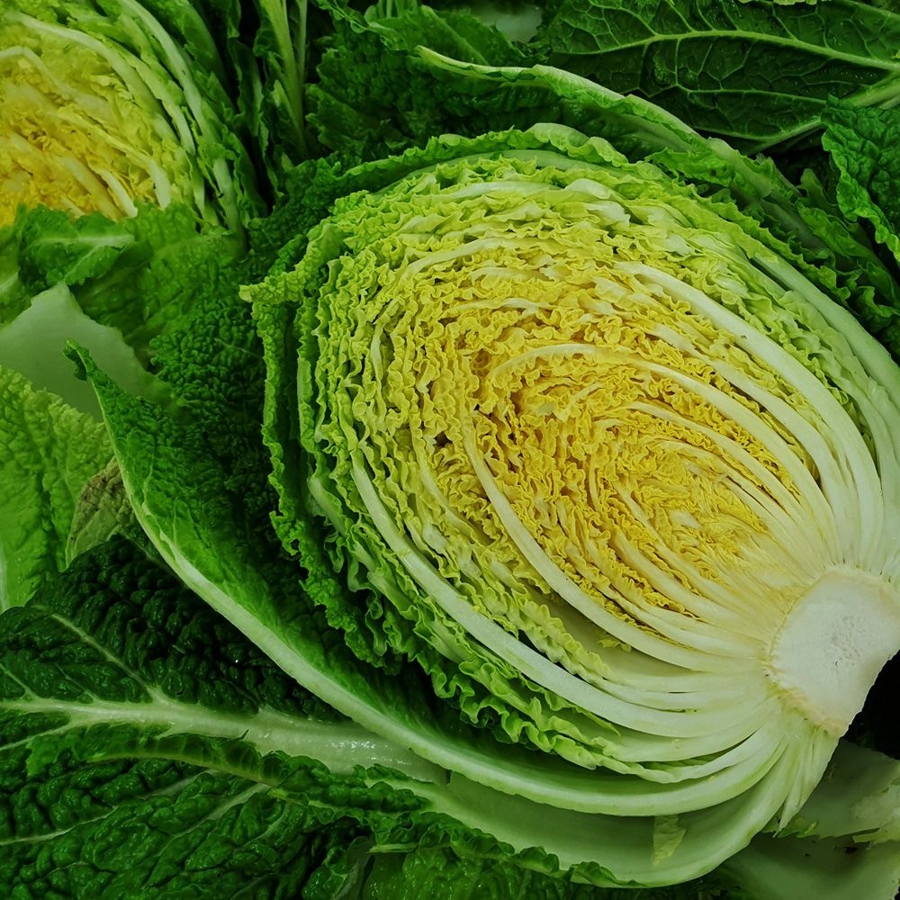 강원도 영월 고랭지 절임배추 20kg(7~9포기내외) 산지직송 국산천일염사용