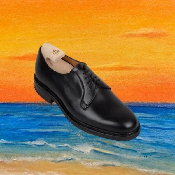 Berwick 1707 5341 S.BLACK