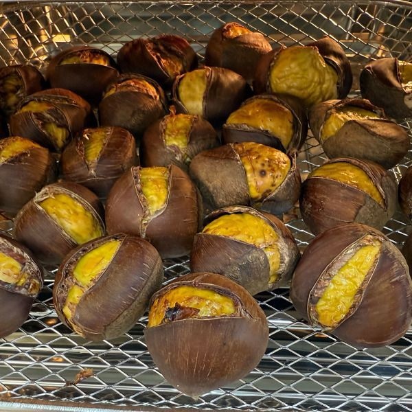 UnKnown 부여 포르단 밤 5kg 특 25년 햇밤 부여 칼집밤 칼집단밤 홀라당밤 부여밤 부여햇밤 부여단밤 생밤 뜨레밤