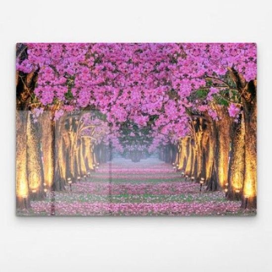 아트박스/꾸밈 pm275-폼아크릴액자78CmX56Cm_흐드러진벚꽃나무아래