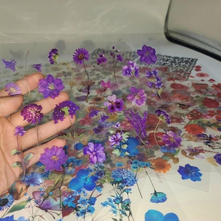노트북 다이어리 PET 압화 다꾸 방수 씰 투명 폰꾸 말린꽃 꾸미기 스티커 24장 M50410