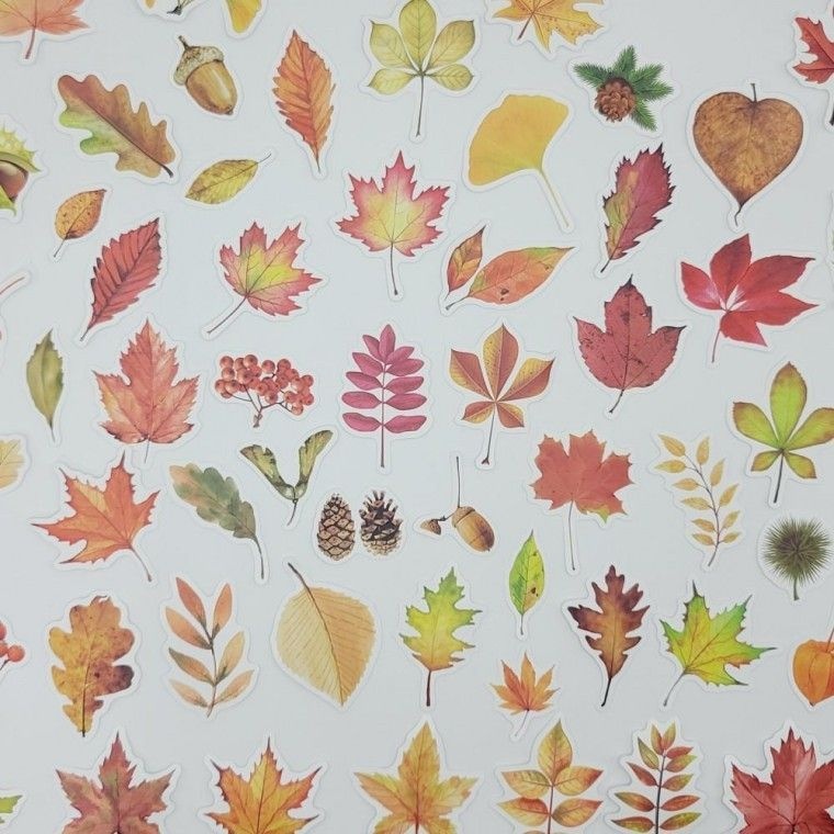 노트북 다이어리 낙엽 용 나뭇잎 다꾸 방수 씰 폰꾸 꾸미기 55개 스티커 M50405