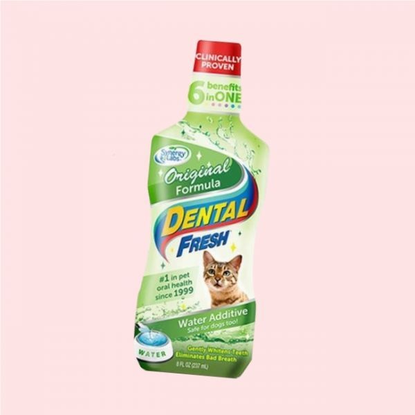 메이드잇 고양이물에타는치약 입냄새제거 치약 캣위생 충치예방 4093807