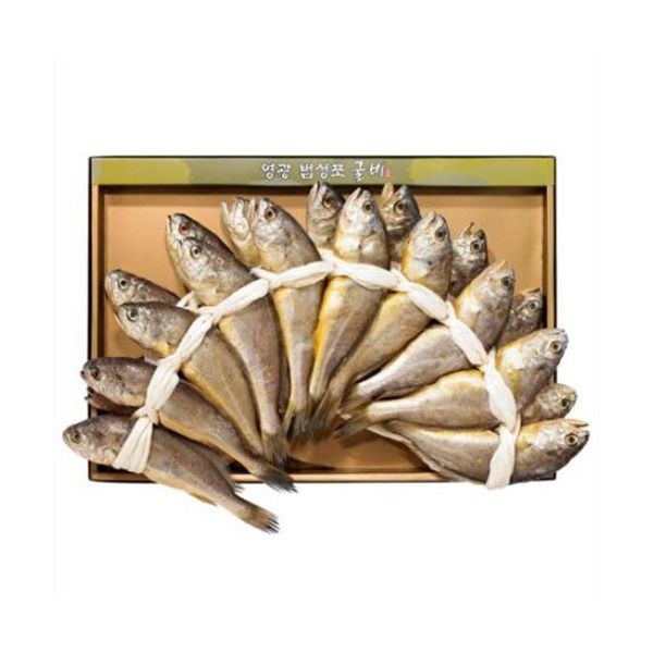 [칠산해] 영광법성포 참굴비세트 5호