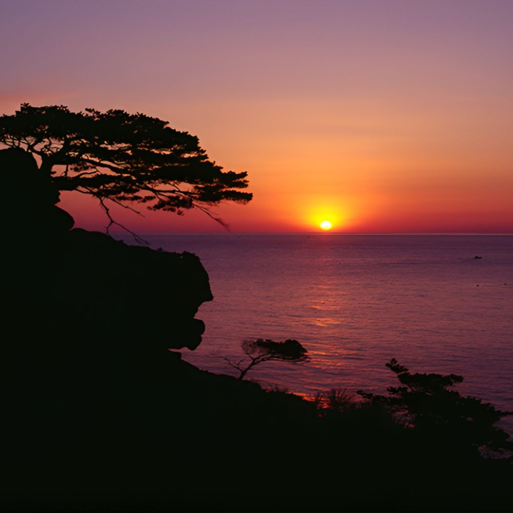 테마캠프 [신년일출] 양양 하조대, 오대산 월정사&전나무숲길 무박여행