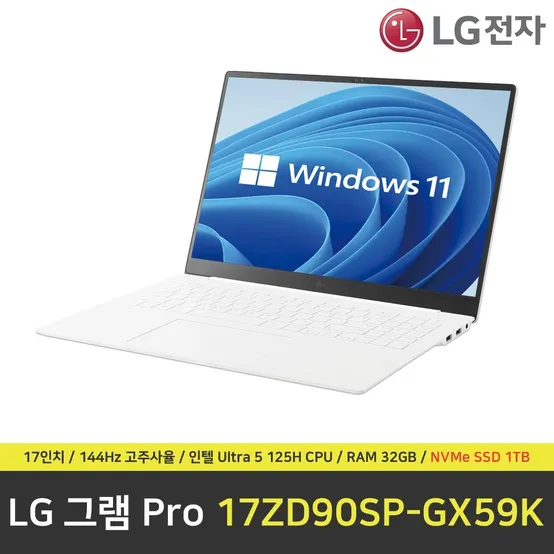 LG 그램 프로 17ZD90SP-GX59K 노트북 / 윈도우 11 설치 / RAM 32GB / NVMe SSD 1TB