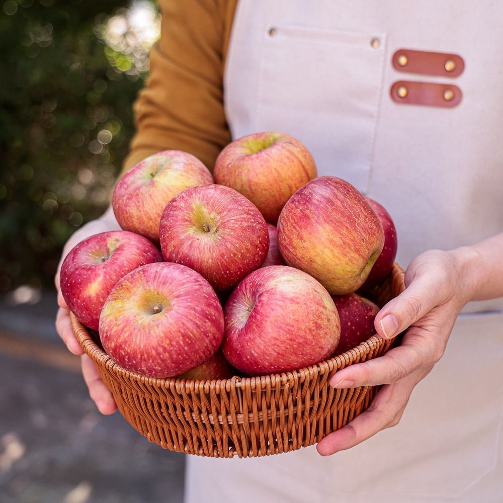 셋째딸농부 가정용 부사 사과 대과 3kg 못난이 소포장