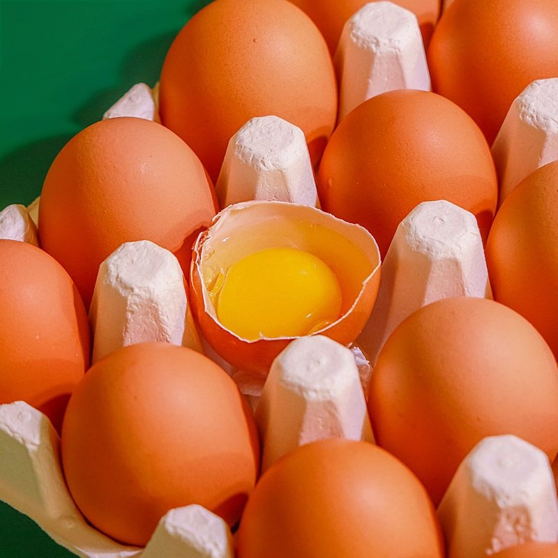 [온누리상품 상생페이백] [무항생제][HACCP]난각번호 1번 방사 유정란 40구