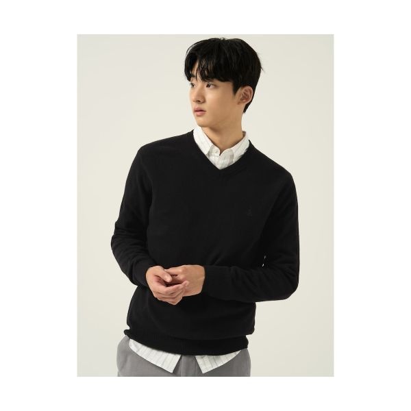 빈폴 BEANPOLE MEN 울 베이직 브이넥 니트 블랙 BC5951C035 213372