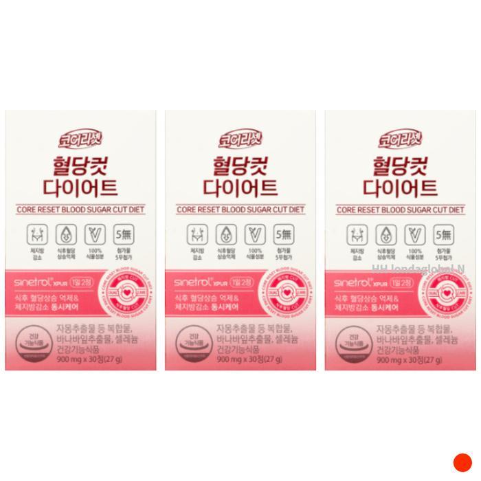 뉴오리진 코어리셋 식후 혈당 체지방 다이어트 3개월