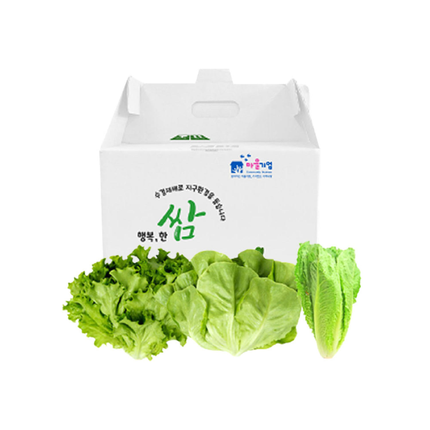 [선착순 30%쿠폰 23일 마감] 친환경 유러피안 샐러드 3종 1kg 19일 출고분부터  : 롯데ON