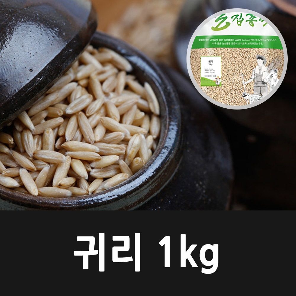 [온누리7%혜택][2024년햇곡] 캐나다산 귀리 (1kg)