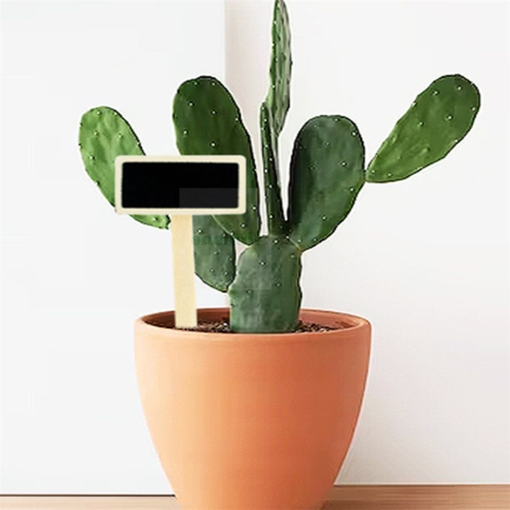 원밀스토어 화분 이름팻말 20P 꽃이름표 홈가드닝 나무이름표