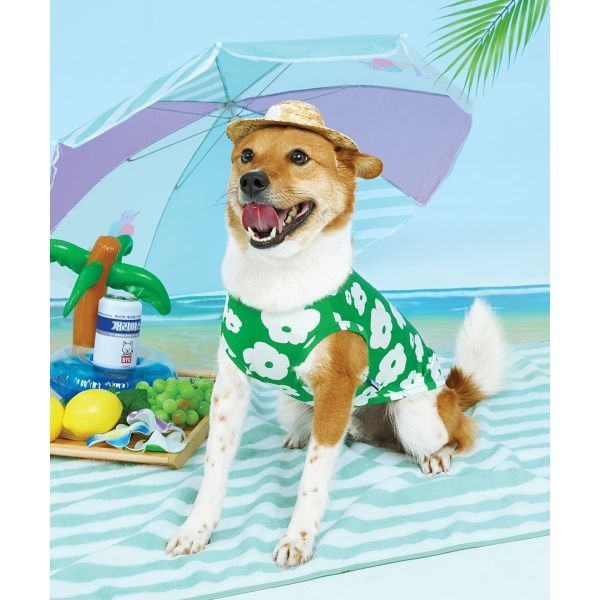 BYC BYC 개리야스 보디드라이 썸머 쿨런닝