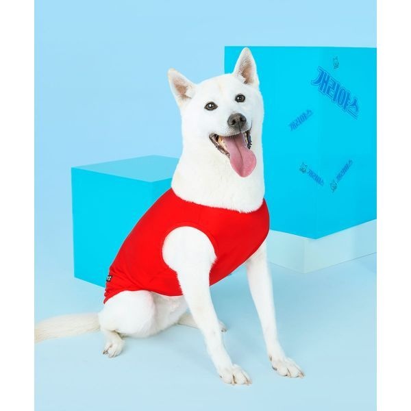 BYC BYC 개리야스 보디드라이 쿨런닝