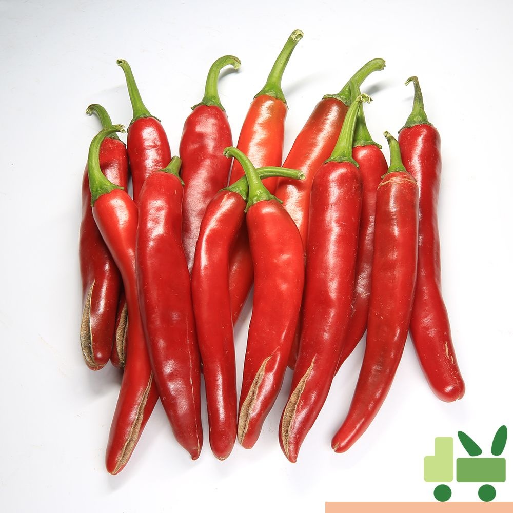 홍고추 2Kg (상)