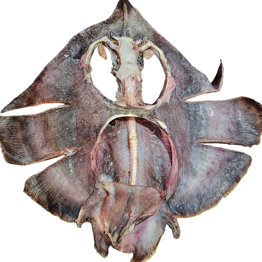 국내산 전라도 목포 반건조 건조 마른 말린 홍어 한마리 약 1kg/홍어찜 홍어탕 2대째 50년 숙성홍어의 달인