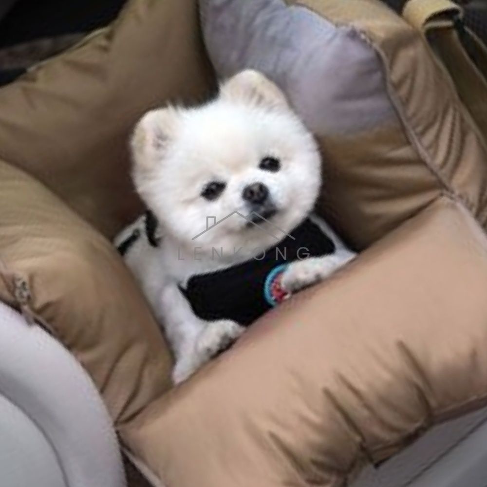 [오늘출발] 렌콩 강아지카시트이동가방 베이지 차량용강아지매트 강아지차시트 강아지카시트뒷자석