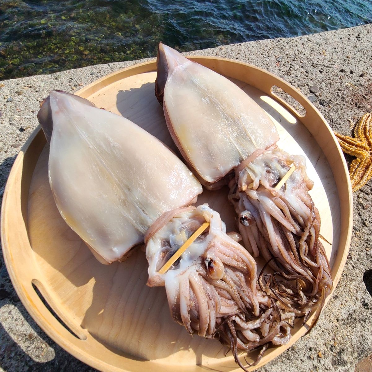 원양산 반건조 피데기오징어 대왕특대 10미 2kg