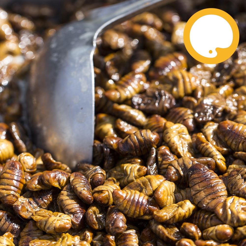 냉동 번데기 4kg 술안주 간식 고단백 식품