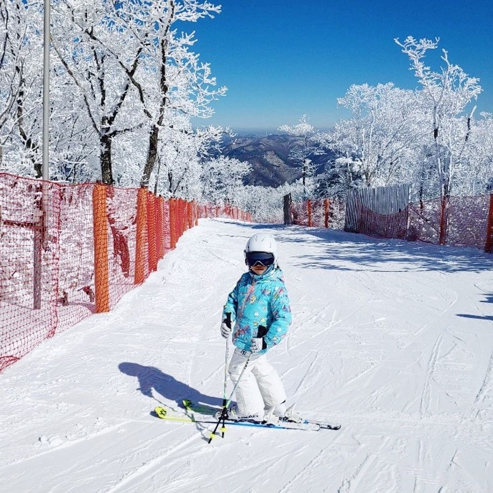 동강래프팅 하이원리조트 스키강습 보드강습 2시간 강습권 1인~4인