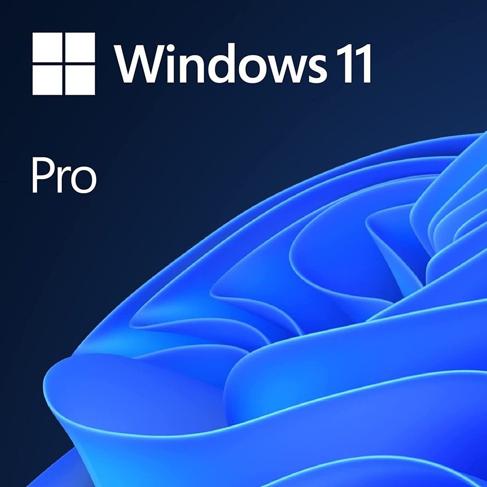 Microsoft 워크스테이션용 Microsoft Windows 11 Pro SSPHHWJG 664742
