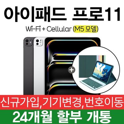 아이패드 프로