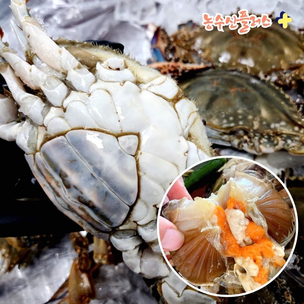 [물가안정 프로젝트] 연평도 제철 꽃게 급냉 알배기 냉동 암꽃게 특품 선주직송 1kg+1kg