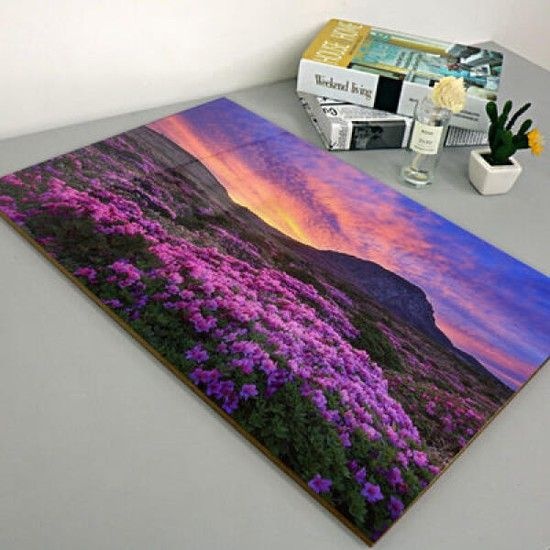 없음 아트박스/꾸밈 tk099-아크릴액자_철쭉이만개한백록담