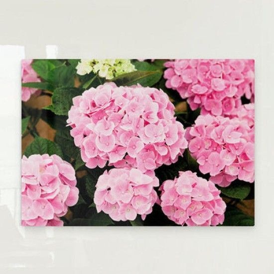 아트박스/꾸밈 pj247-폼아크릴액자78CmX56Cm_분홍수국