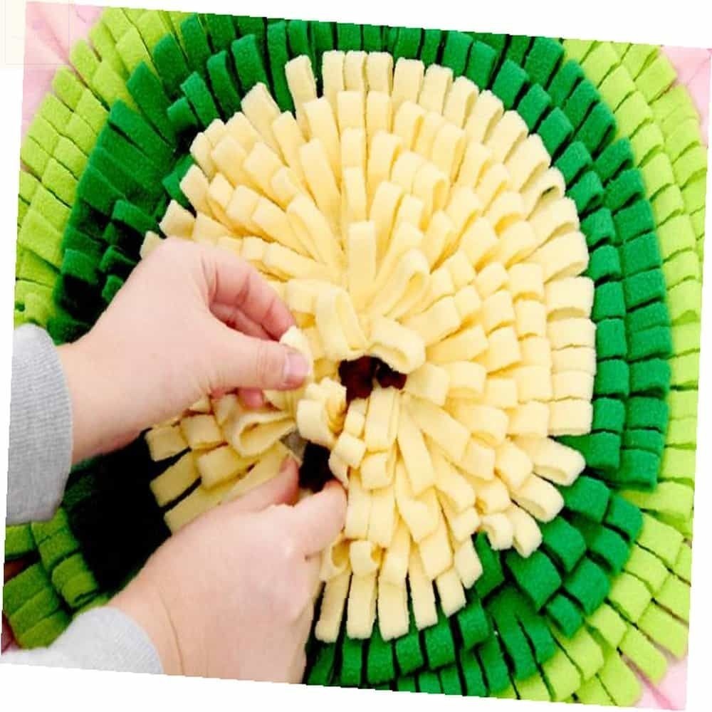 분리불안 노우즈워크 꽃요정 스트레스해소 분리불안해소 강아지분리불안해결