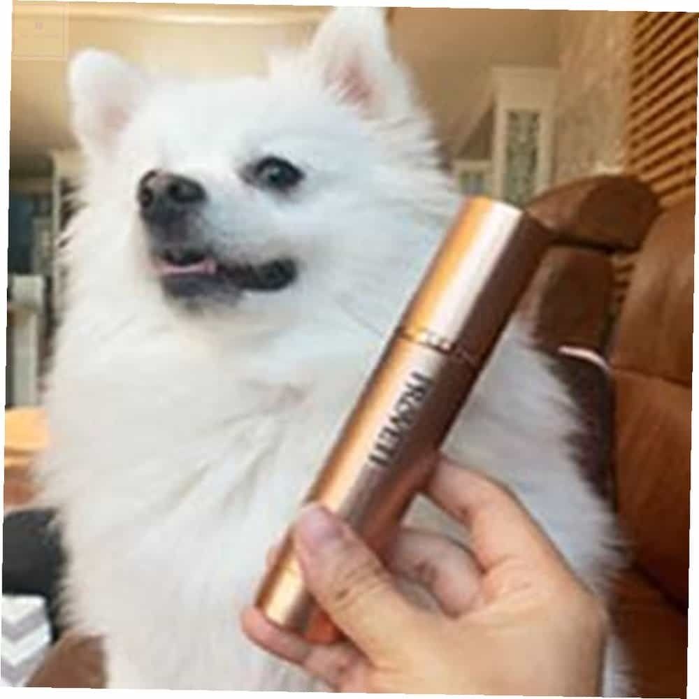 프로베티 구강청결제 50ML 고양이덴탈스프레이 애견구강스프레이 애견치약