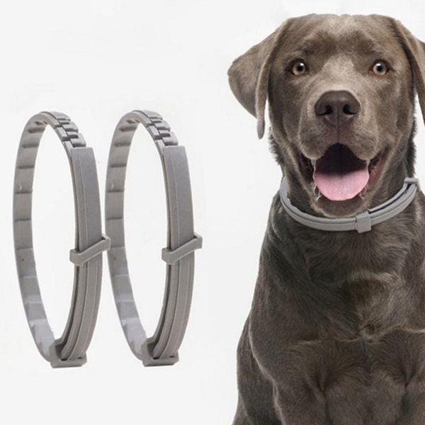 반려동물 강아지 해충 목걸이 진드기 고양이 해충 목걸이 오일 모기