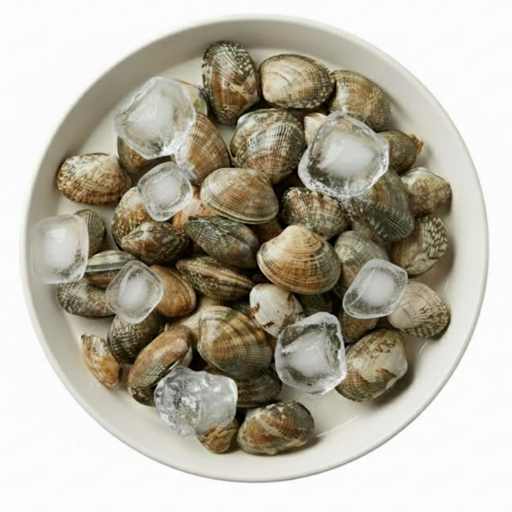 냉동 바지락 피바지락 500g 해감 세척 술찜 칼국수 조개 소포장