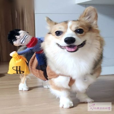 아이들을위한 개 할로윈 의상