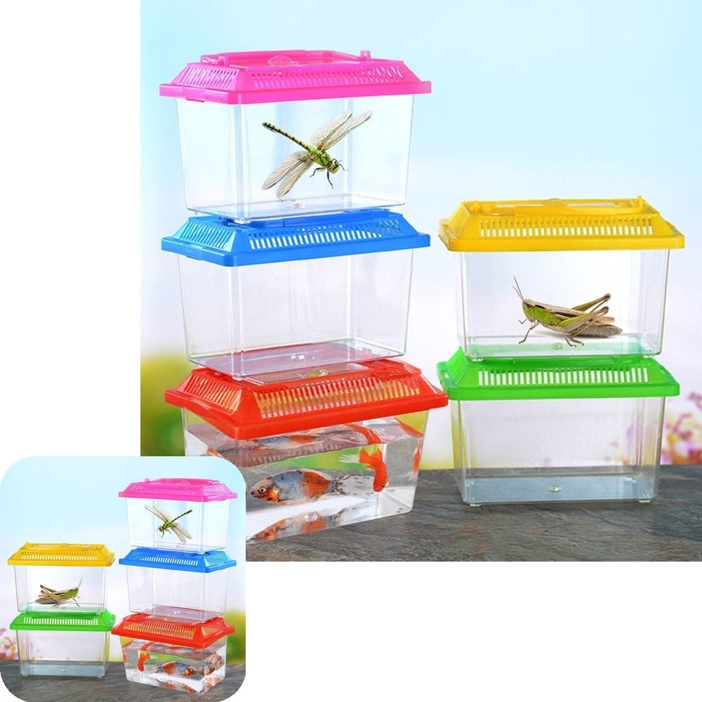 마이한 곤충 어항 보관 채집통 관찰통 다슬기 케이스 사육통 클린
