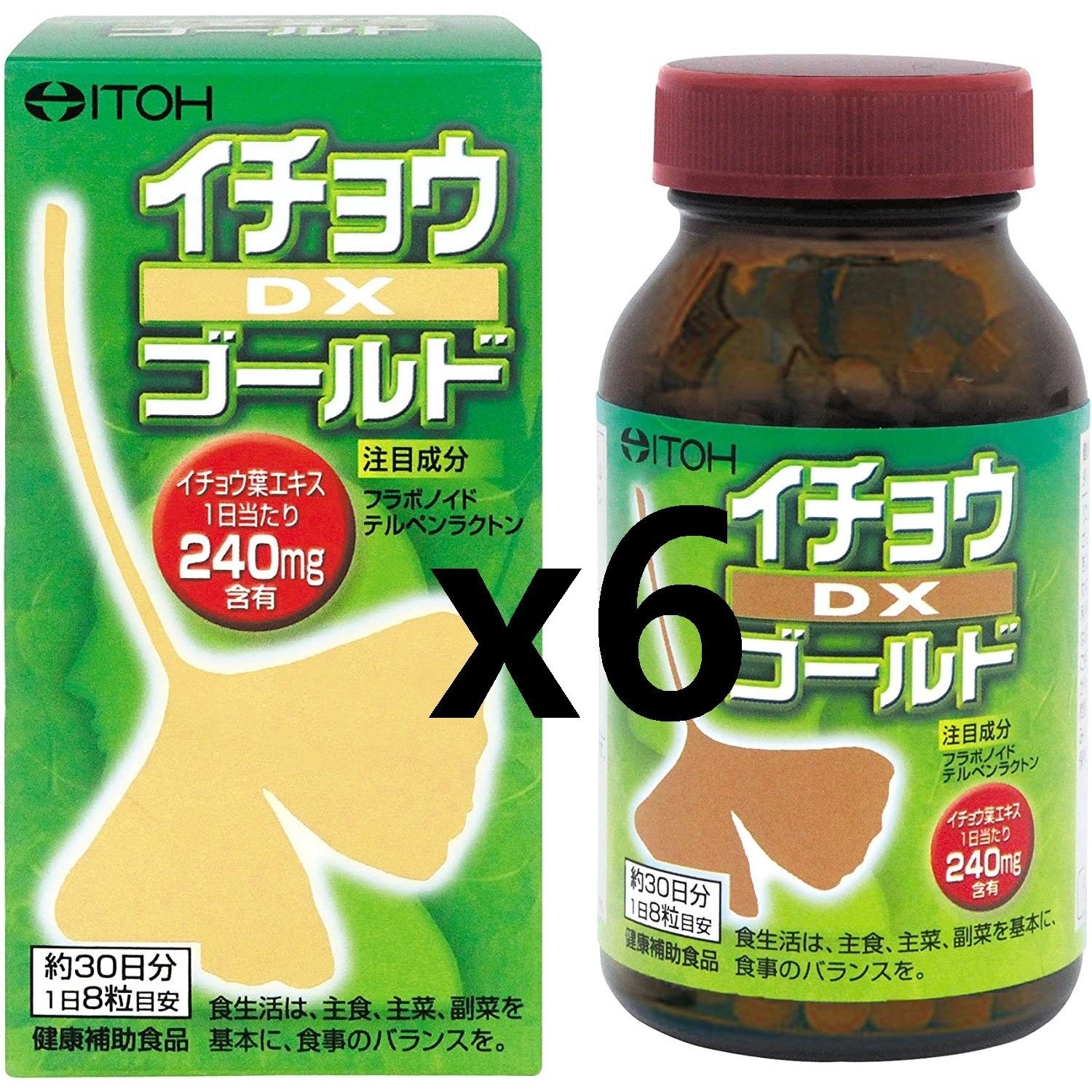 [해외] 일본 이토한방제약 은행 이쵸 DX 징코 240정  x 6병