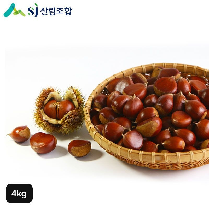 25년산 충주 햇밤 대 4kg[35591581]
