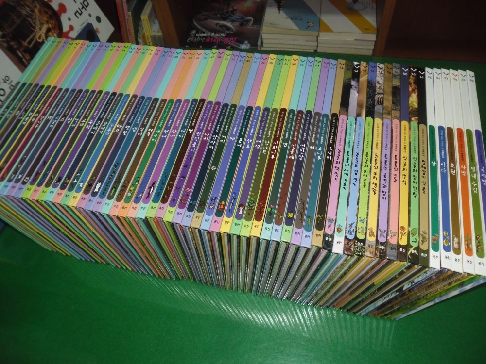 [개똥이네][중고]푸른아이 전구성완벽쎄트(HF65)