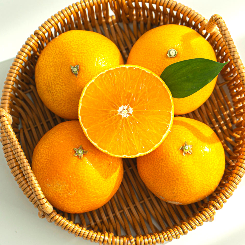 [온누리상품 상생페이백] 제주 하우스 황금향 가정용 선물용 3kg 5kg