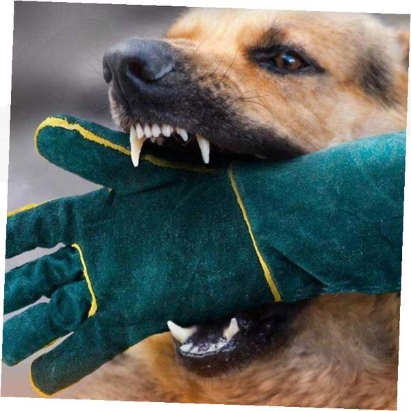 강아지 훈련용 물림방지 장갑 애견 교육 보호 안전 두꺼운 가죽 소재 대형견 소형견 고양이 작업용