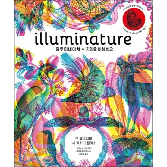 [팝북] illuminature 일루미네이쳐 - 자연을 비춰 봐요
