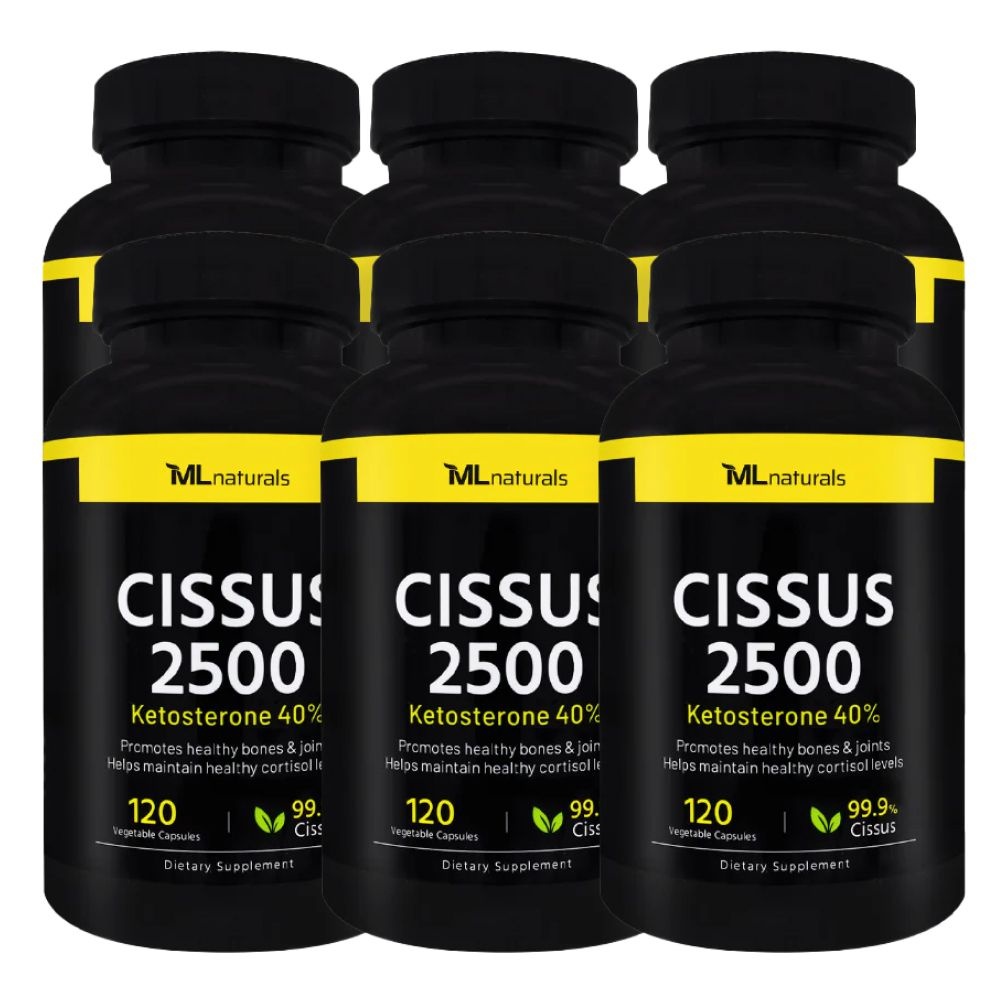 마이라이프 내추럴스 마이라이프 시서스 2500mg 120캡슐 x6병