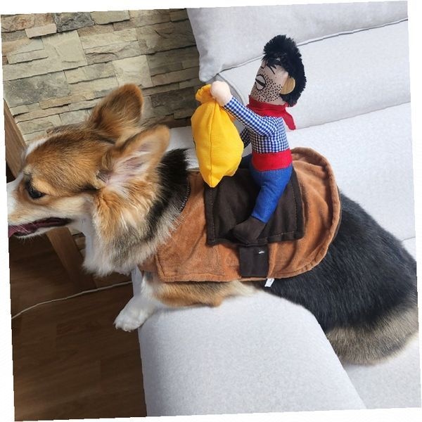 강아지 카우보이 의상 애견 할로윈 변장 옷 펫 역할놀이 가정용